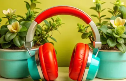 Sound Care: Keep Your Speakers & Headphones Performing Their Best