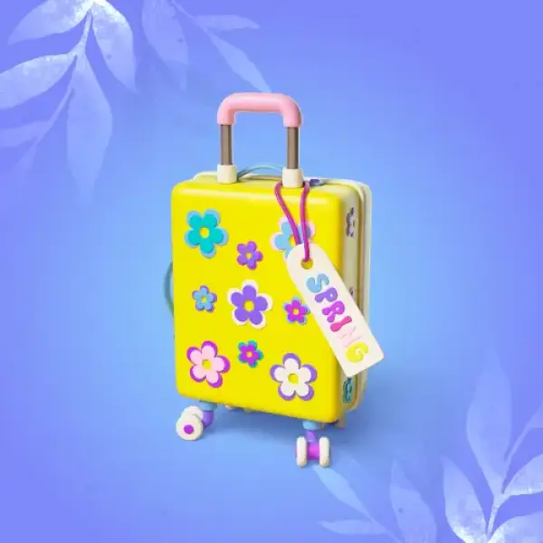 Bags and Luggage