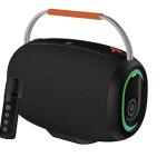 30W Bluetooth Speaker with Mic & Karaoke | Portable Wireless Speaker with Powerful Bass