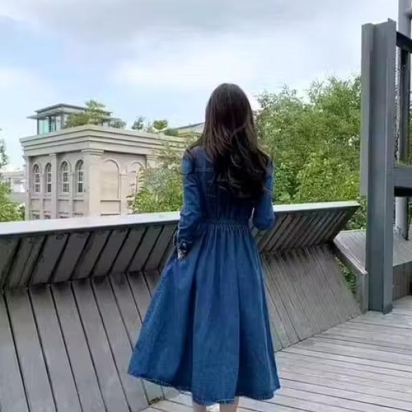 Western Stylish Denim Dress