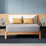 Mattress | Dual Sided Comfort with HR & Soft Foam Mattress | 10 Year Warranty | Grey Color (72x35x4 Inches, Single)