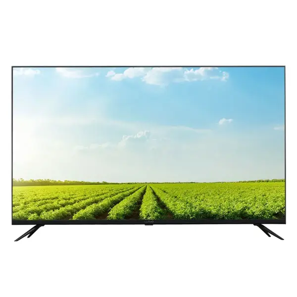 Havells-WCG Vision Pro Television 1.64 m (65PS850F)