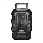 CARWAAN 30W Portable Wireless Bluetooth Karoke Party Speaker with Remote/Aux/FM/Pa System/Rechargeable Battery/Wireless Mic (Black Shining Speaker)