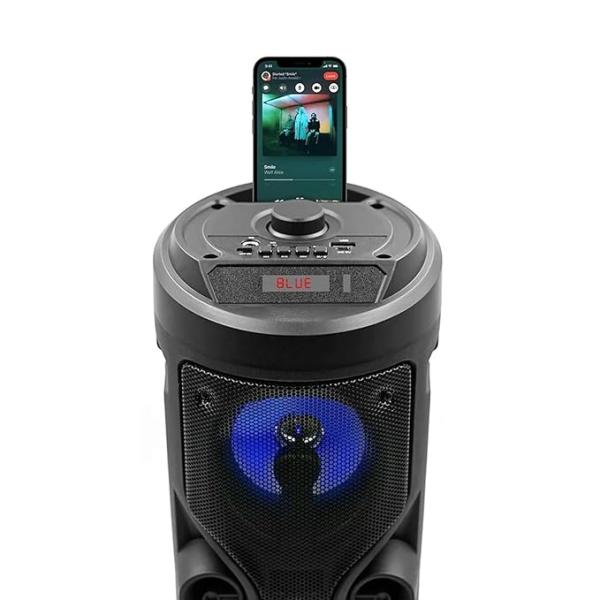 Portable Bluetooth Speaker with Karaoke Microphone LED Lights FM Radio USB/TF Card Playback, Rechargeable Battery Wireless Speaker for Kids, Adults, Home & Travel Use