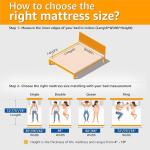 Vitara 5 inch Single Size Rebonded Foam Mattress | Doctor's Recommended