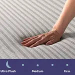 Wayfair-Nora 13" Ultra Plush Gel Memory Foam Mattress with Icy Cool Cover