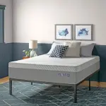Wayfair-Nora 13" Ultra Plush Gel Memory Foam Mattress with Icy Cool Cover