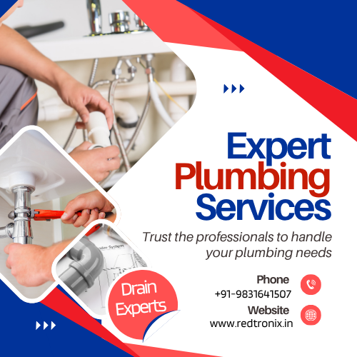 Professional Plumbing Services
